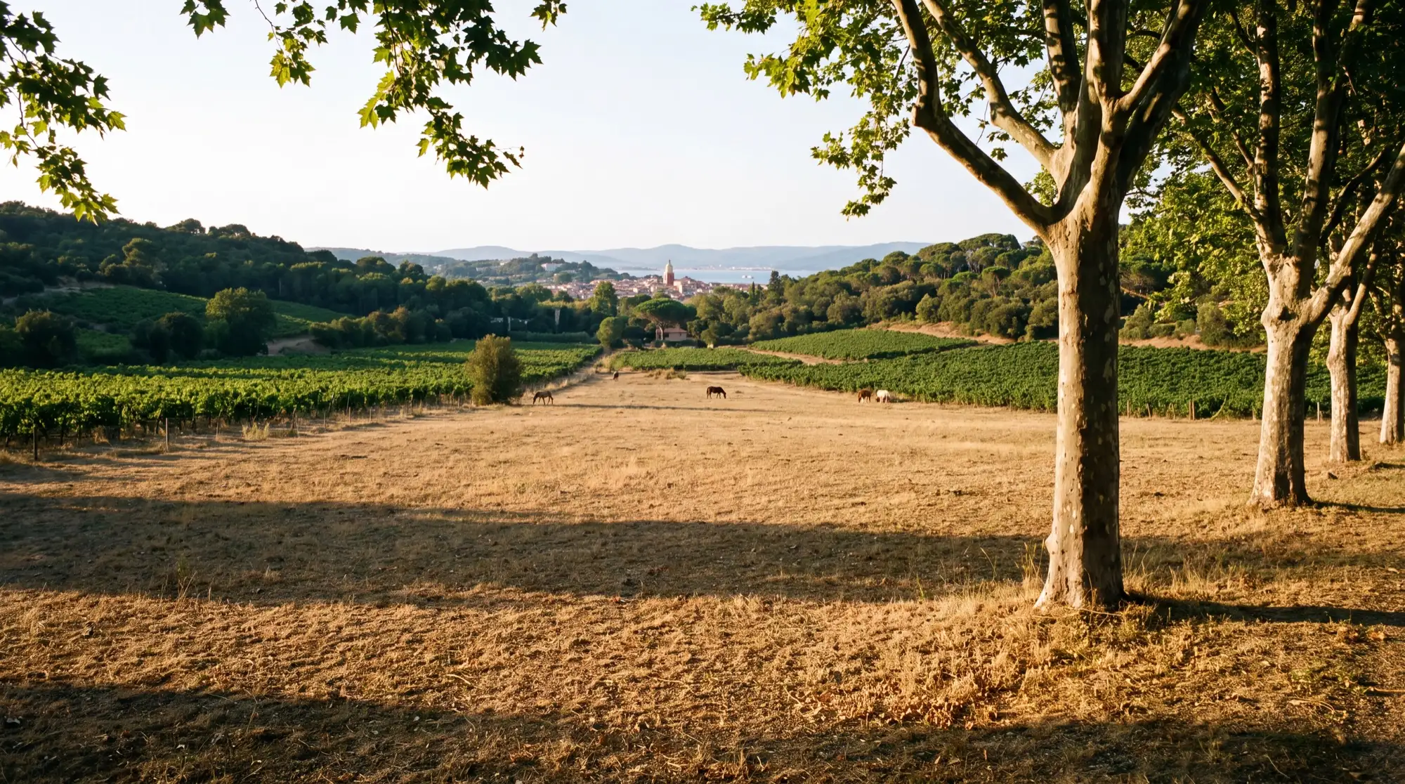 Summer afternoon on the grounds behind Saint-Tropez with the hills of the peninsula
